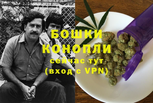 ECSTASY Богородицк