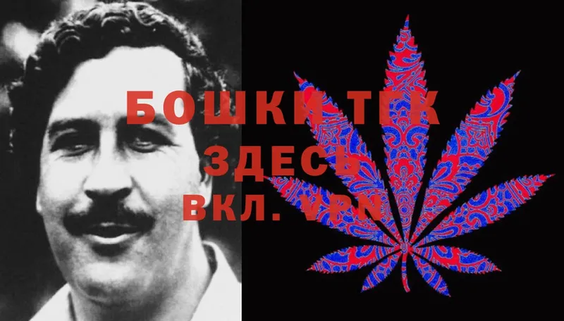 МЕГА зеркало  Курчалой  Шишки марихуана Ganja 